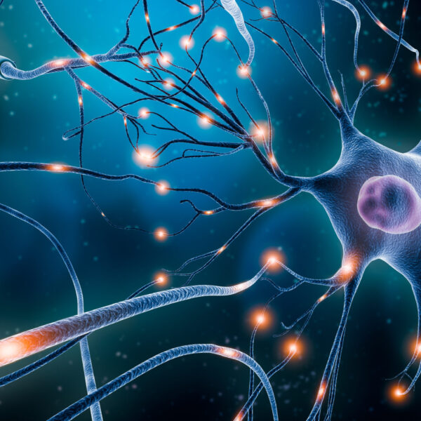Neurological_3